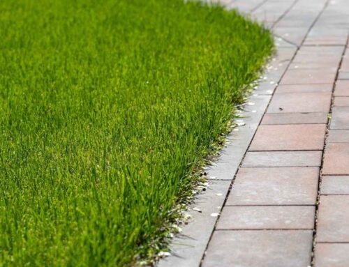 Curb Appeal That Lasts: Lawn Care Strategies for HOA and Community Spaces