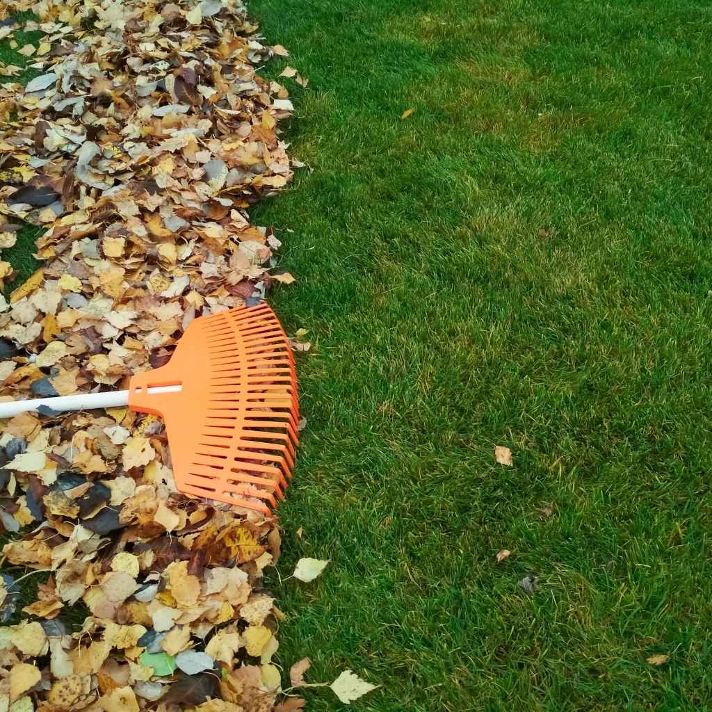 Winter Lawn Care What You Should and Shouldn’t Do (1)