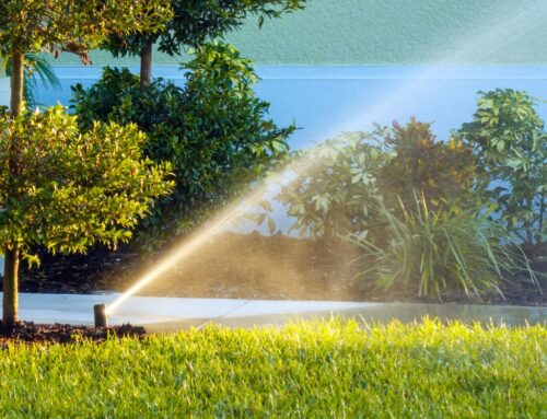 Why Your Irrigation System Isn’t Working as Well as You Think