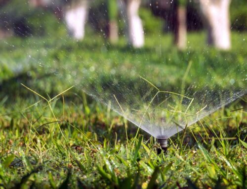 How Much Should You Water Your Lawn During a Wilmington, NC Drought?