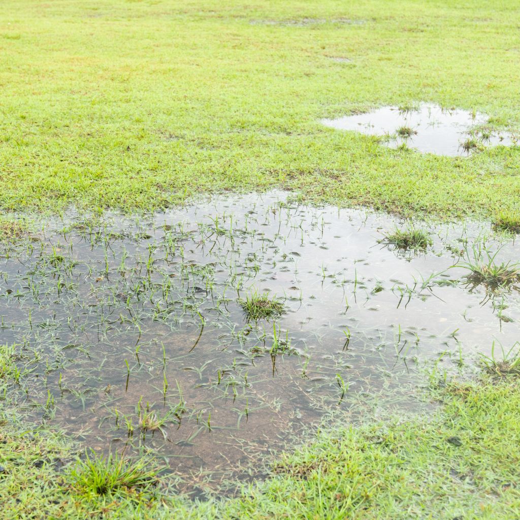 The Most Overlooked Lawn Issues on HOA Properties – 2