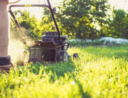 The Most Overlooked Lawn Issues on HOA Properties