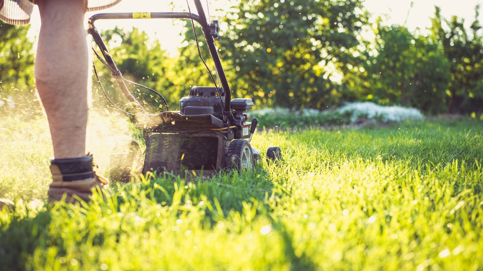 The Most Overlooked Lawn Issues on HOA Properties – FT IMG