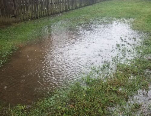 Signs Your Yard Has a Drainage Problem